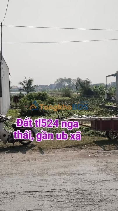 Đất nền Nga Thái Nga Sơn 100m² giá thỏa thuận - Sổ đỏ chính chủ
