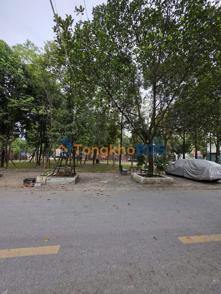 Đất nền Nguyễn Trãi 81m² – Sổ đỏ chính chủ, gần trung tâm