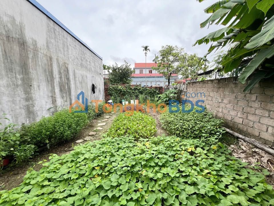 Đất Thuỷ Nguyên 66m² hướng Nam - Sổ đỏ thổ cư đầu tư