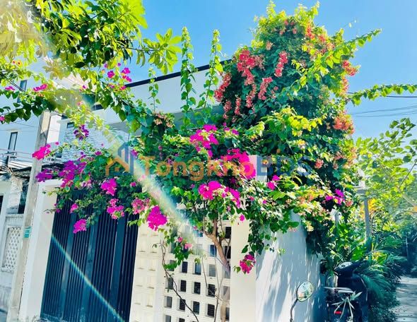 Nhà cho thuê Cẩm Thanh 8.5 triệu/tháng - Sẵn sàng ở ngay