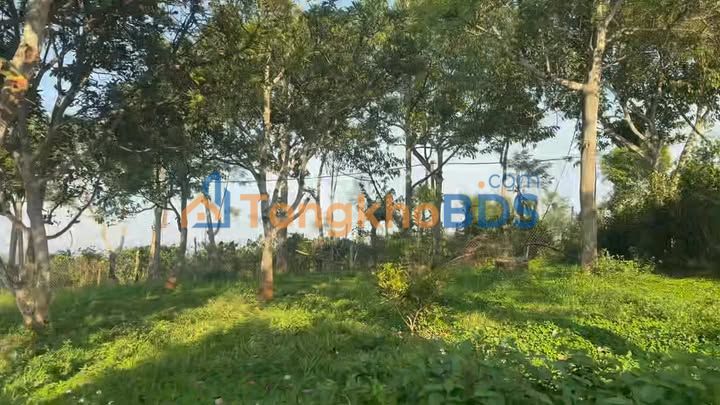 Nhà vườn Đắk R'Măng 5000m² 1.43 tỷ - Sẵn sàng ở ngay