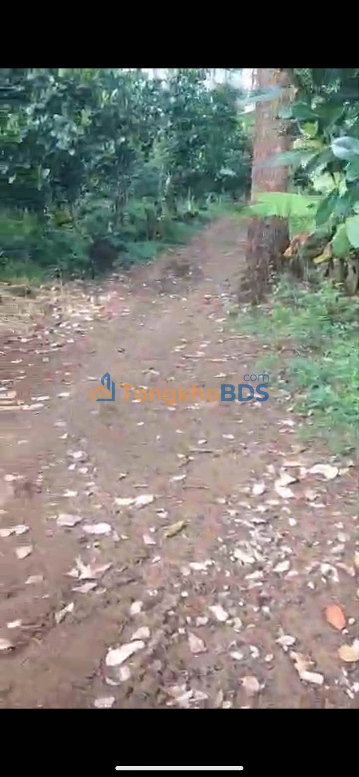 Đất nền Thanh Sơn Định Quán 10000m² 1.5 tỷ - Sổ đỏ chính chủ