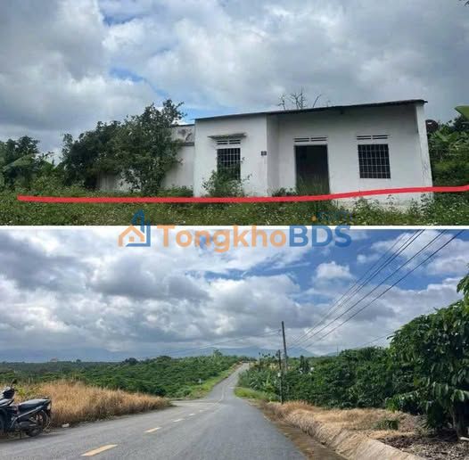 Đất nền Hòa Bắc Di Linh 1.400m² 1.5 tỷ - Sổ đỏ chính chủ