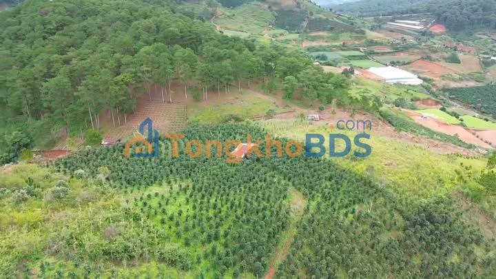 Đất nền Lạc Dương 6419m² 5.9 tỷ - Sổ đỏ view Vạn Xuân