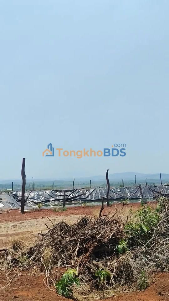 Đất vườn Ia Pia 22.000m² giá 2 tỷ - Sinh thái xanh