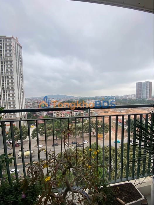 Căn hộ Chung cư Lotus Lý Thái Tổng 105m² 8 tỷ - View đẹp