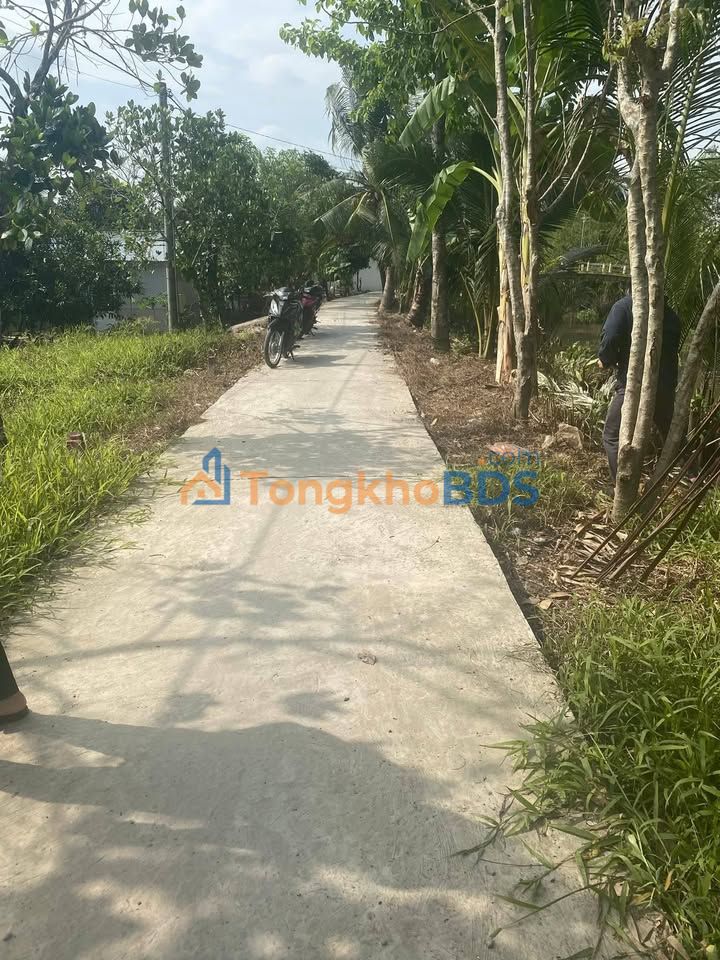 Đất trồng mía Ngã Bảy 4220m² 1.16 tỷ - Sổ đỏ chính chủ