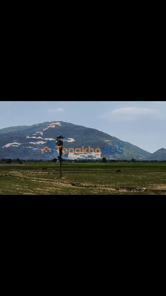 Đất nền Xuân Thọ Xuân Lộc 1.176m² giá 2.5 tỷ - Sổ đỏ chính chủ