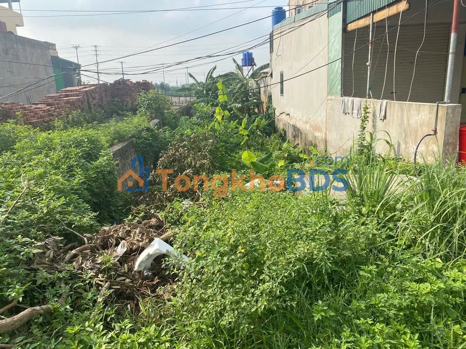 Đất nền Thôn Nam Quán Đông Các 100m² - Sổ đỏ chính chủ