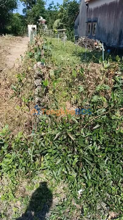 Đất nền Dung Quất Sa Huỳnh Mỹ Á 234m² 700 triệu - Sổ đỏ chính chủ