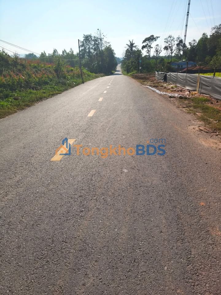 Đất nền Bình Long Bình Sơn 3.000m² 3 tỷ - Sổ đỏ chính chủ