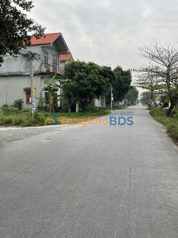 Đất Phong Doanh Ý Yên 150m² - Đất thổ cư 100%