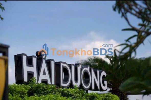 Đất KĐT Mồng 1 Tháng 6 Hải Dương 220m² 13.2 tỷ - Sổ đỏ chính chủ