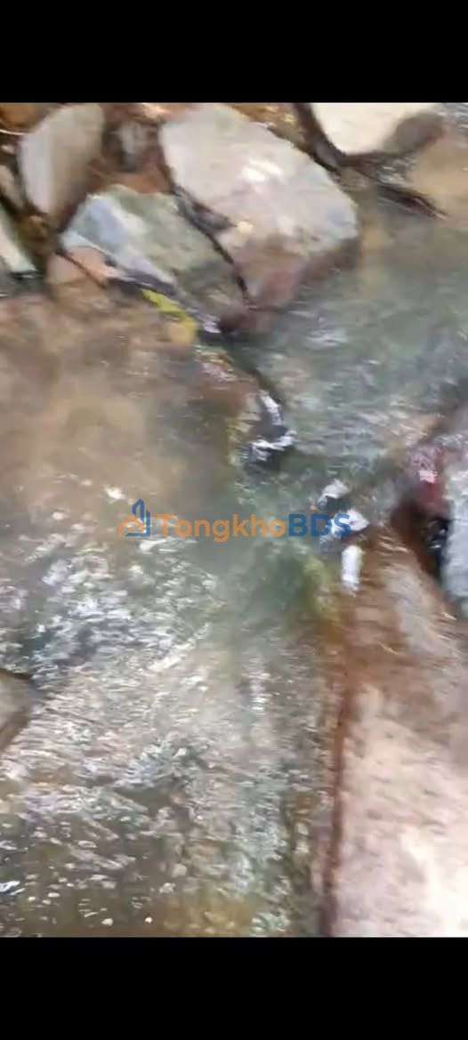 Đất nền Khánh Sơn 20.000m² giá 320 triệu - Đầu tư dài hạn