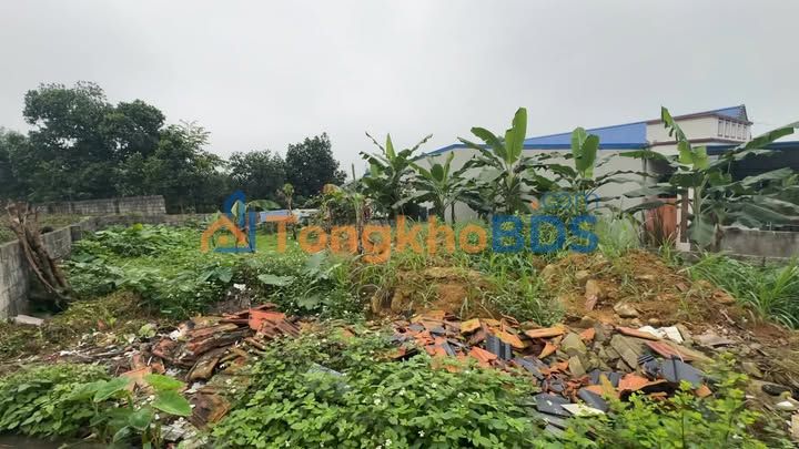 Đất nền Mỹ Yên Đại Từ 162m² 0.4 tỷ - Sổ đỏ