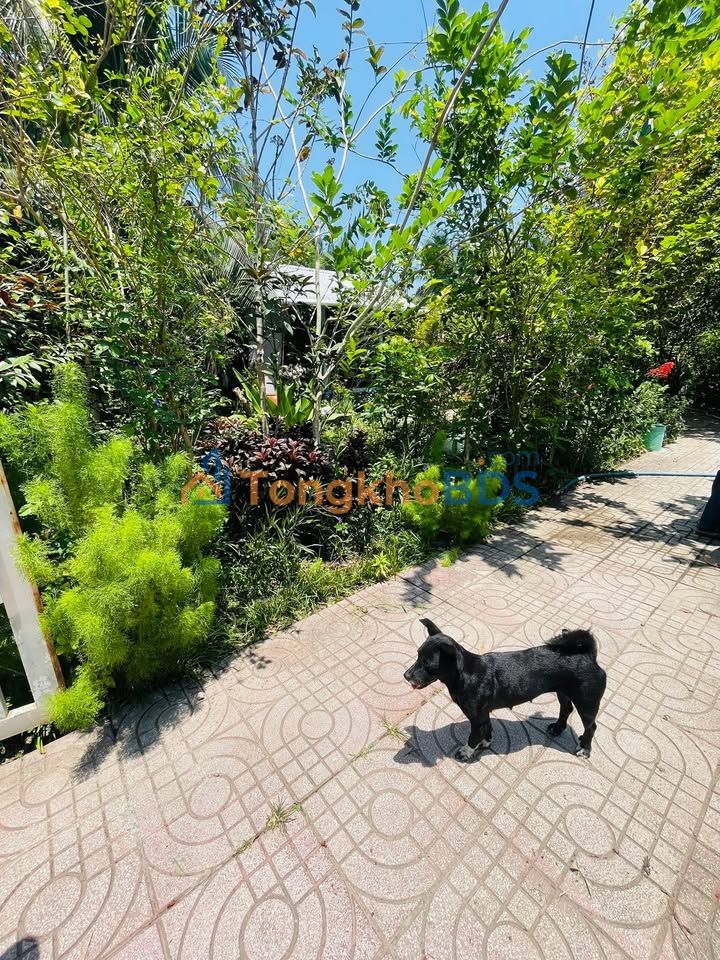 Đất nền Song Thuận Châu Thành 2.000m² 3 tỷ - Chính chủ bán