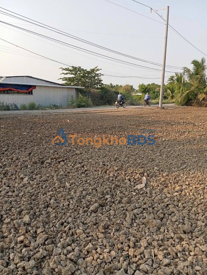 Đất nền Gò Công Tây 433m² 330 triệu - Hạ tầng hoàn thiện