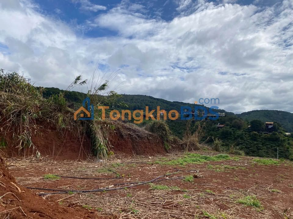 Đất nền Cam Ly Đà Lạt 1000m² 2,4-2,6 tỷ - Sổ đỏ chính chủ