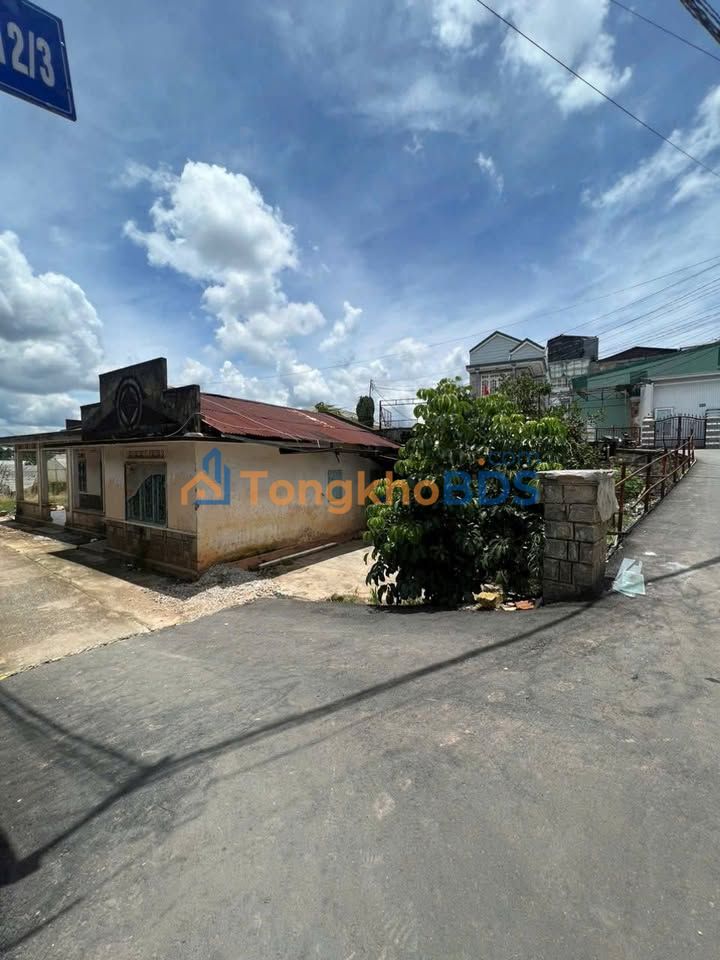 Đất nền Hẻm 90 Lữ Gia Đà Lạt 99m² 3.8 tỷ - Tiềm năng tăng giá