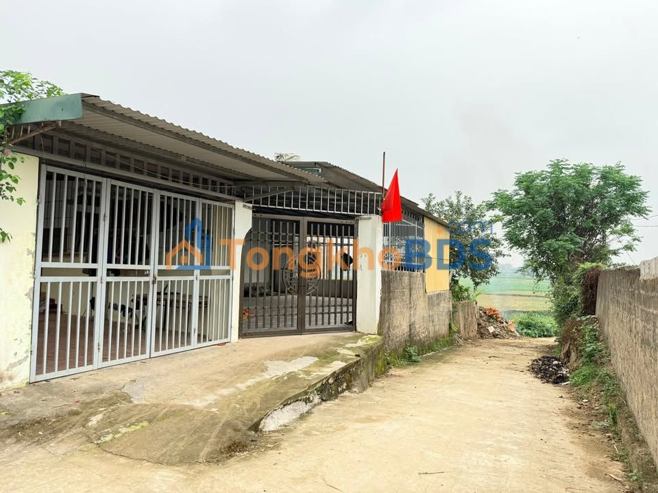 Đất nền Gia Sàng 310m² 550 triệu - Tiềm năng tăng giá