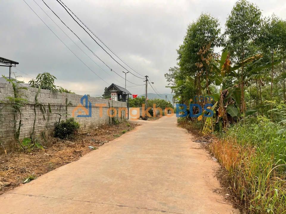 Đất nền Lục Sơn Lục Nam 260m² giá vài trăm triệu - Đầu tư dài hạn