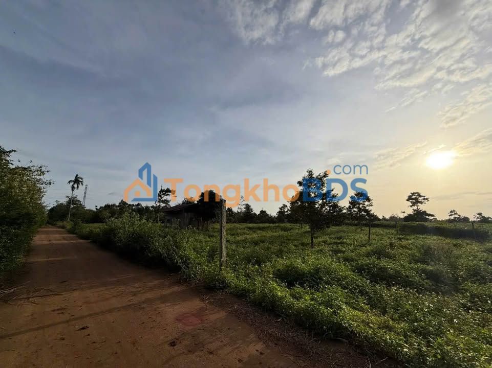 Đất nền Buôn Ma Thuột QL14 144m² giá 670 triệu - Sổ đỏ chính chủ