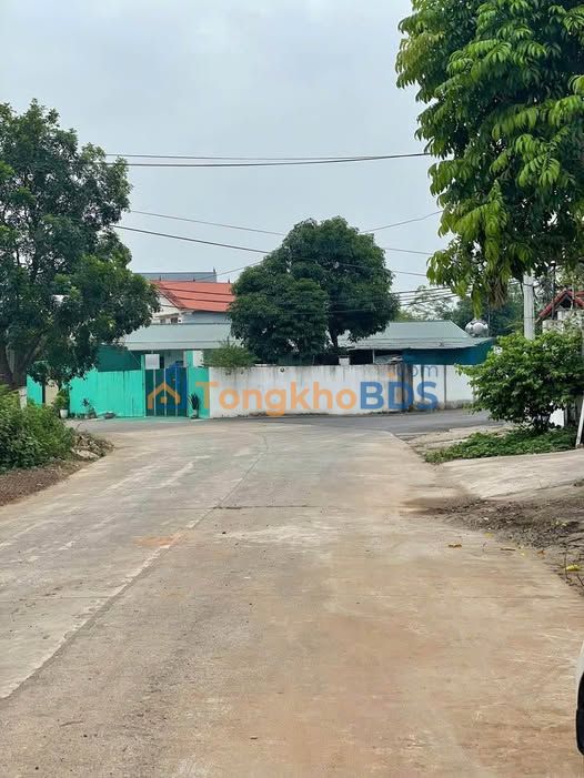 Đất nền Phú Ninh Thanh Vân 123m² 1.6 tỷ - Đường to ô tô