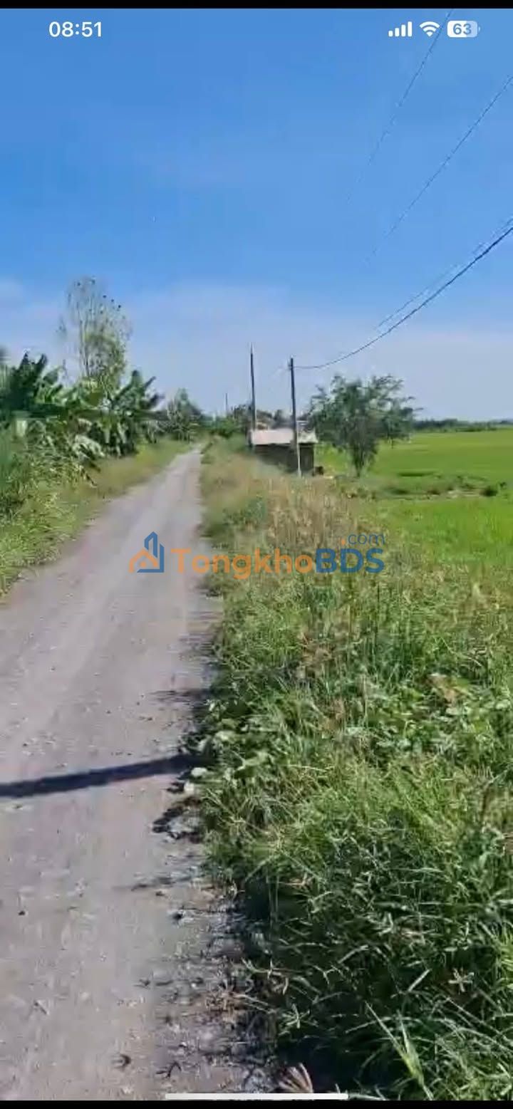 Đất nền Vĩnh Bửu Tân Hưng 1.000m² 160 triệu - Sổ đỏ