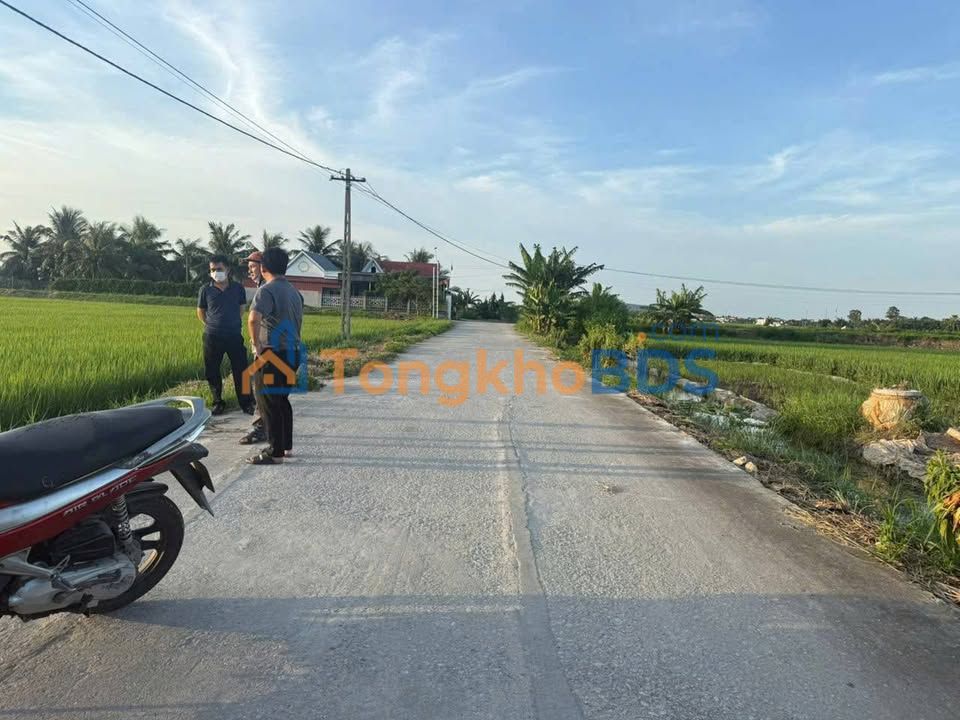 Đất nền Quảng Phúc Thanh Hóa 200m² – Đường to ô tô