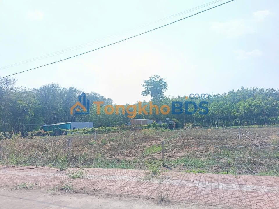 Đất nền Minh Lập Chơn Thành 265m² 439 triệu - Đường ô tô