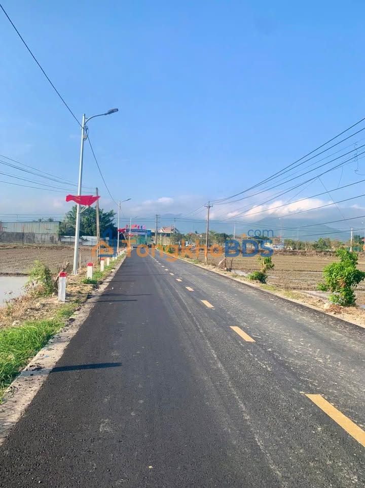 Đất nền Diên An 1591m² 3,8 tỷ - Sổ đỏ chính chủ