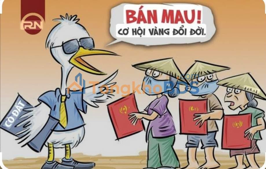 Đất Trục Lộ 4 Thành Nhất 272m² 2,35 tỷ - Đường to ô tô