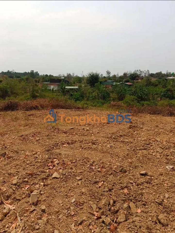 Đất farm Hòa Phú Buôn Ma Thuột 5.000m² giá 1,25 tỷ - Sổ đỏ chính chủ