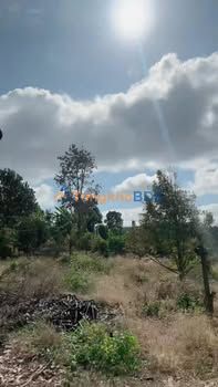 Land Ea Ral 2.520m² giá 1.1 tỷ - Sổ đỏ chính chủ, ô tô vào tận nơi