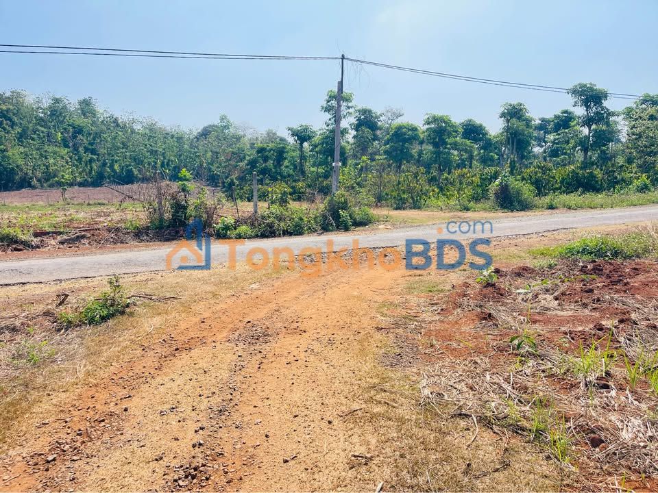 Đất Khánh Xuân Buôn Ma Thuột 644m² 365 triệu - Pháp lý rõ ràng