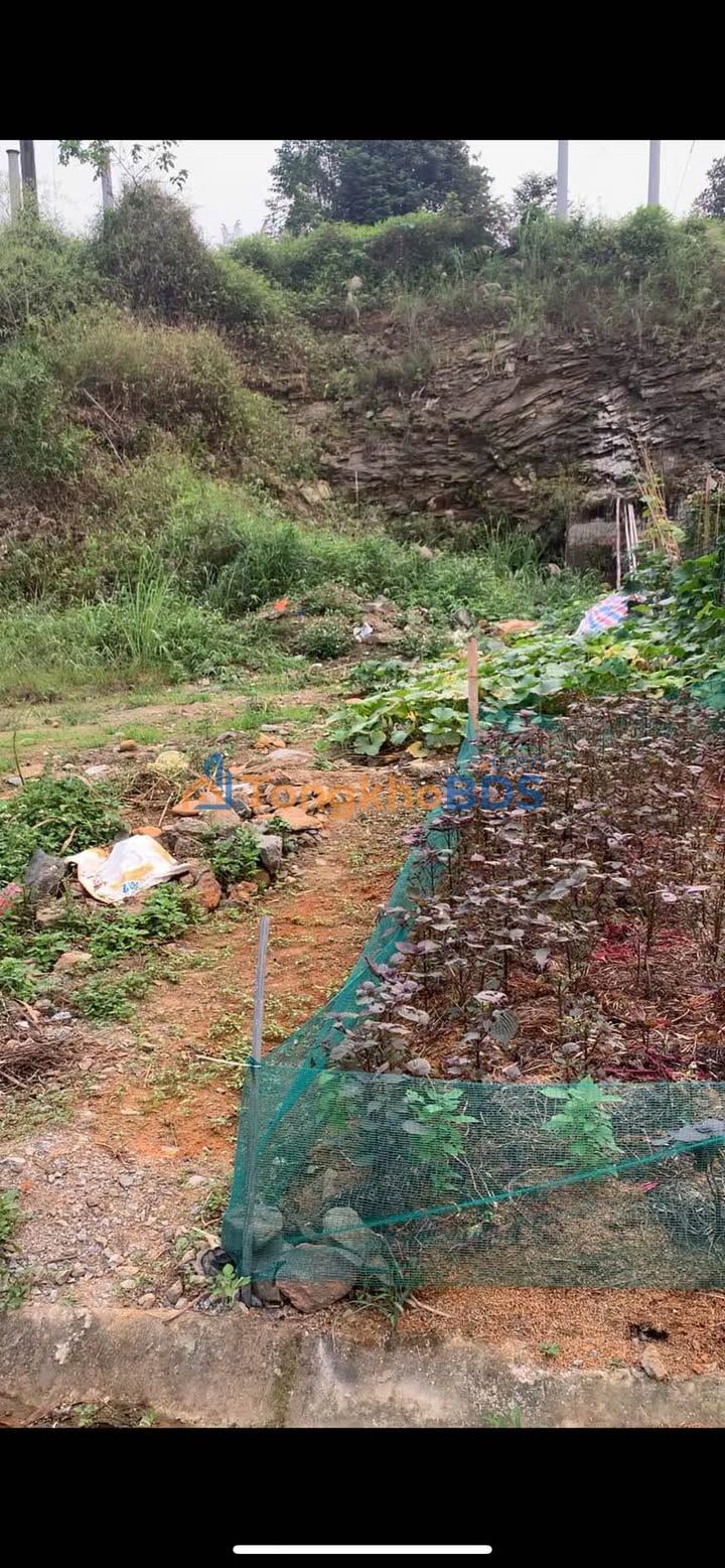 Đất nền H1 Cam Đường 100m² 1.268 tỷ - Sổ đỏ chính chủ