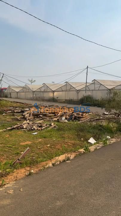 Đất Phường 7 Đà Lạt 207m² 5 tỷ - Sổ đỏ chính chủ