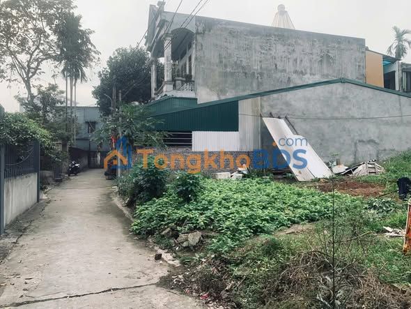 Đất nền Thanh Miếu Việt Trì 141m² thỏa thuận - Sổ đỏ chính chủ