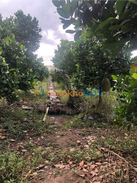 Đất nền Hưng Phú Cần Thơ 5.492m² 3,57 tỷ - Đầu tư dài hạn