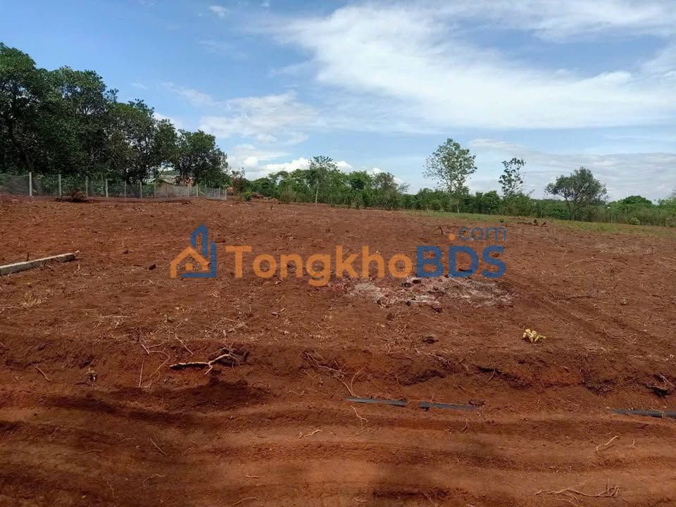 Đất nền Ea Kao BMT 1.000m² 750 triệu - Sổ đỏ chính chủ