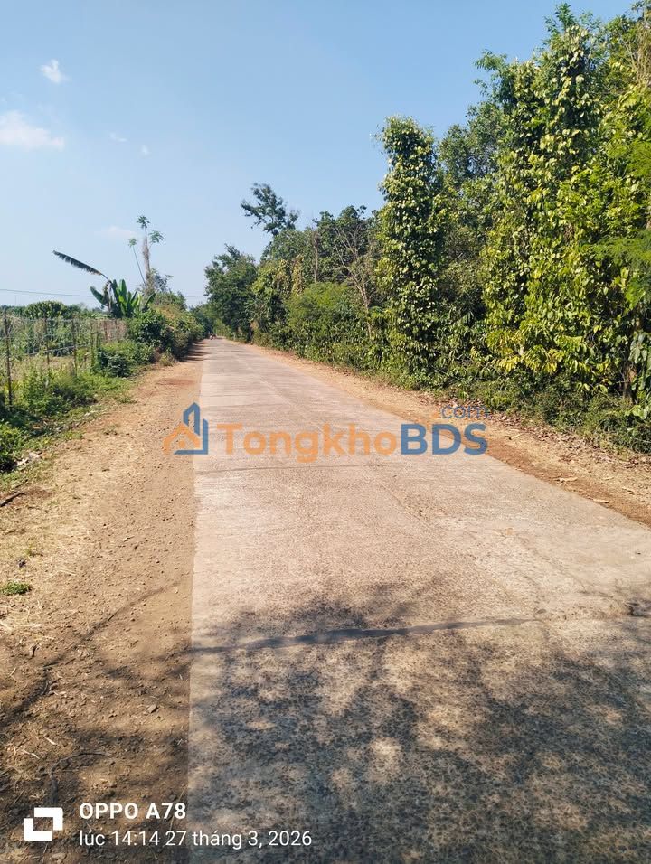 Farm Ea Kao 1,1ha 20,47 tỷ - Sổ đỏ chính chủ