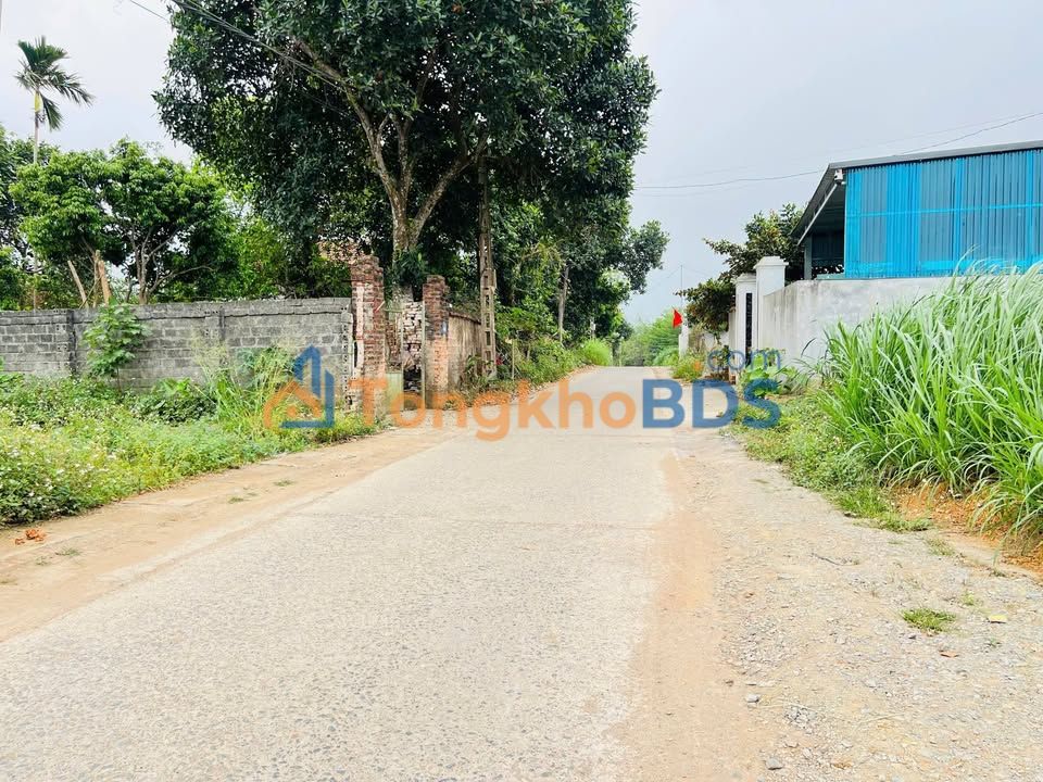 Đất nền Ba Vì 5.500m² thỏa thuận - Tiềm năng tăng giá