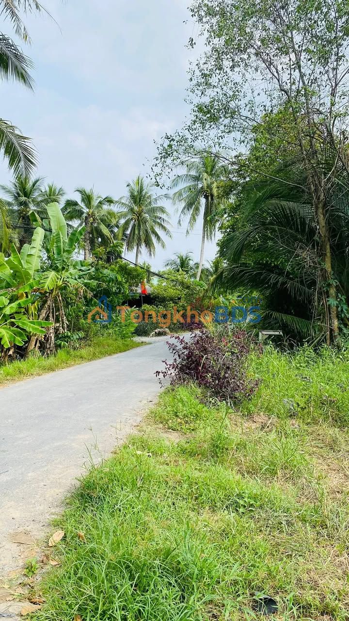 Đất An Hội Giồng Trôm 500m² 550tr - Pháp lý rõ ràng