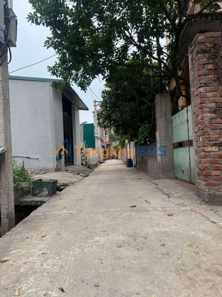 Đất thổ cư Yên Ngô Mão Điền 86,5m² 2 tỷ - Xây dựng tự do