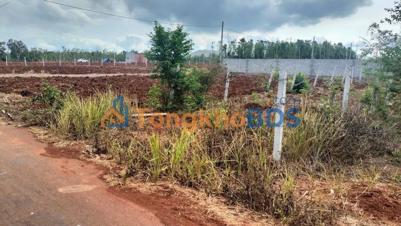 Đất Ngãi Giao Châu Đức 150m² 800 triệu - Sổ đỏ chính chủ