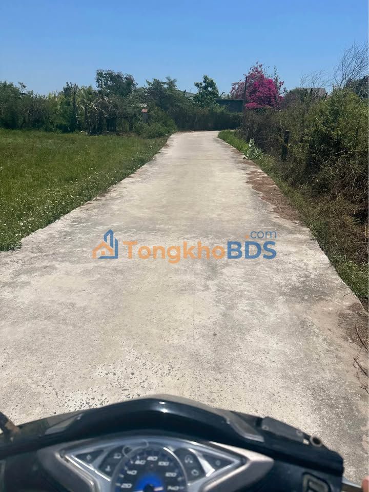 Đất nền Thôn 3 Ngô Đức Tố 1200m² 1 tỷ Sổ đỏ chính chủ