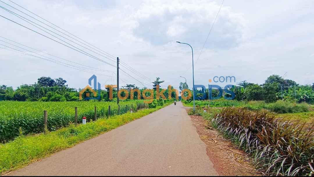 Đất nền Hóc Môn 1.680m² 11.5 tỷ - Sổ đỏ chính chủ