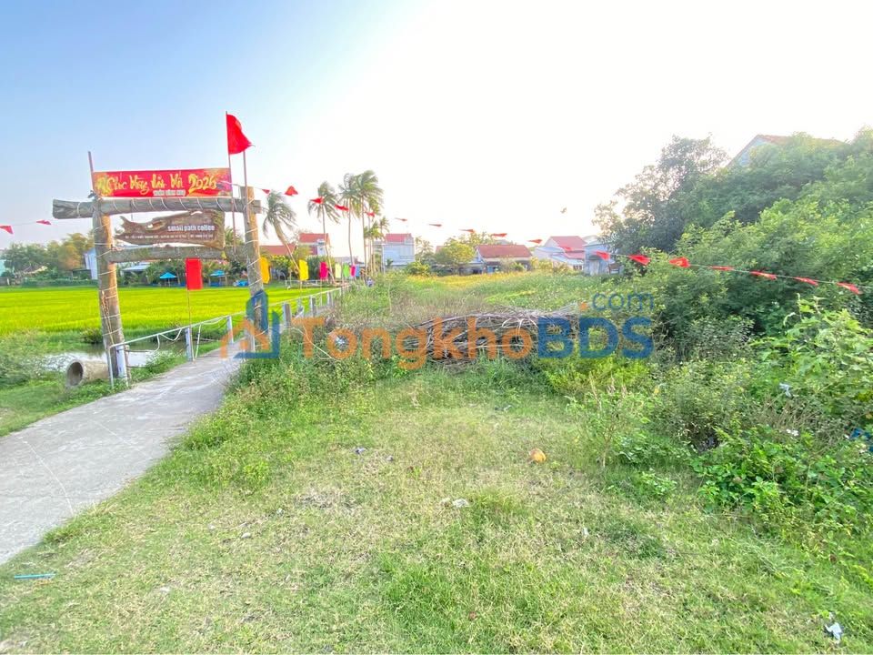 Đất nền Võ Chí Công Hội An 1.000m² 30 tỷ - Tiềm năng tăng giá