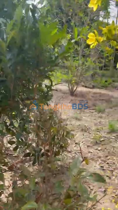 Đất nền Hòa Xuân 336m² giá 2,8 tỷ - Tiềm năng tăng giá