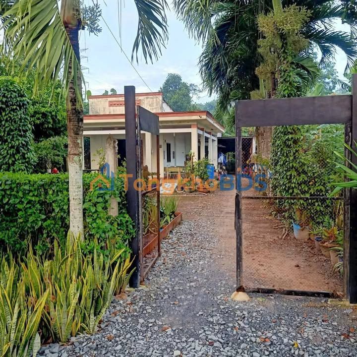 Đất nền Củ Chi 700m² 3.2 tỷ - Đường to ô tô